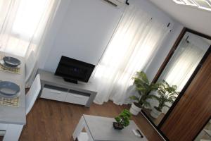TV a/nebo společenská místnost v ubytování INCREIBLE APARTAMENTO CENTRO GRANADA ALHAMBRA
