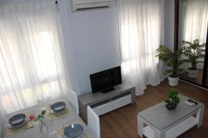 TV a/nebo společenská místnost v ubytování INCREIBLE APARTAMENTO CENTRO GRANADA ALHAMBRA