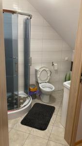 a bathroom with a shower and a toilet and a sink at Pokoje Grey in Okuninka