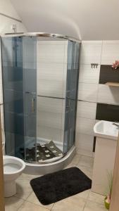 ein Bad mit einer Dusche, einem WC und einem Waschbecken in der Unterkunft Bar&Noclegi Grey in Włodawa