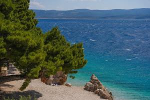 a beach with trees and a body of water at Hotel Medistone in Omiš