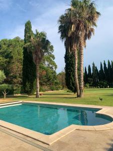 a swimming pool in a yard with two palm trees at maison d'hôtes 2 personnes les deux esprits libres in Claira