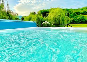 a large swimming pool with blue water in a yard at Casa Jana Croatia in Jastrebarsko