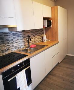 Kuchyň nebo kuchyňský kout v ubytování Apartmani "Ivan"