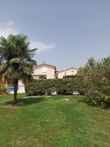 un cortile verde con una palma e una siepe di Magnolia a Trois-Palis