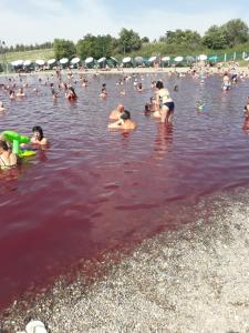 Gjester på Bački Raj