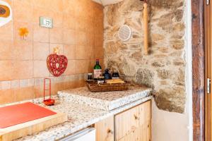 Tenna 的住宿－Chalet Altinate Tenna OSPITAR，厨房配有水槽和带葡萄酒瓶的吧台