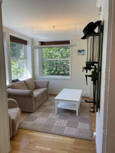 ein Wohnzimmer mit einem Sofa und einem Tisch in der Unterkunft Fjord Apartments in Dimmelsvik
