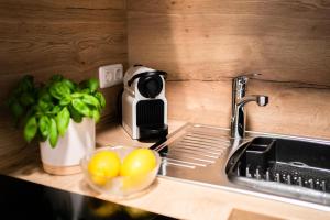 Köök või kööginurk majutusasutuses Appartments Kramer