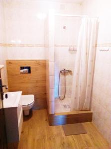 a bathroom with a shower with a toilet and a sink at Arnina in Władysławowo