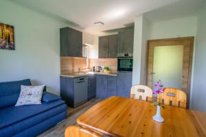 Köök või kööginurk majutusasutuses Appartments Kramer