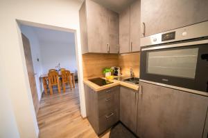 Köök või kööginurk majutusasutuses Appartments Kramer