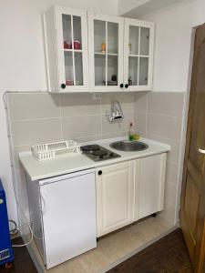 a kitchen with white cabinets and a sink at Hacijenda Gane in Soko Banja