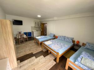 ein Wohnzimmer mit 2 Betten und eine Küche in der Unterkunft Hacijenda Gane in Sokobanja
