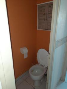 ein Badezimmer mit einem WC und einer orangefarbenen Wand in der Unterkunft Le Cerizay Gîte n°1 in Cerizay