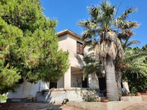 una casa con una palmera delante de ella en Casa Valle, en Agrigento