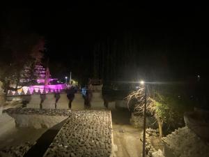 un bâtiment éclairé la nuit avec un éclairage de rue dans l'établissement Gomang guest house Leh, à Leh
