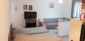 TV a/nebo společenská místnost v ubytování Apartments Davor