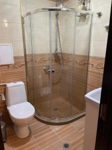 ヴェリングラードにあるBorov Park 1のバスルーム(シャワー、トイレ、洗面台付)