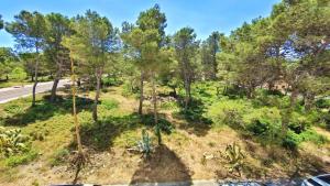 Príroda v okolí apartmánu