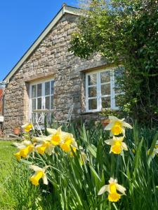 una casa de piedra con flores amarillas delante de ella en The Billiard Room - Cosy Country Retreat en Abergavenny