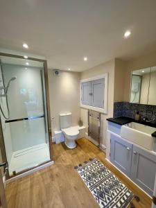 a bathroom with a shower and a toilet and a sink at The Billiard Room - Cosy Country Retreat in Abergavenny
