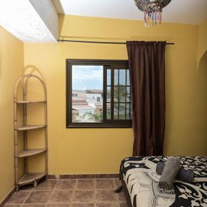 a bedroom with yellow walls and a window at Los Amigos Hostel Tenerife in La Mareta