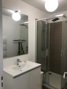 Kúpeľňa v ubytovaní Cannes 2 pieces de 49 m2 ,piscine. Jardin privatif