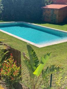 Bazén v ubytovaní Cannes 2 pieces de 49 m2 ,piscine. Jardin privatif alebo v jeho blízkosti