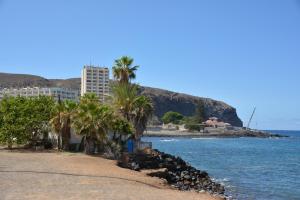 plaża z palmami przy wodzie w obiekcie Castle 411 w mieście Los Cristianos