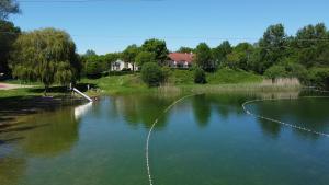 a lake with a rope in the middle of it at Vakantiepark 't Broeckhuys in Ewijk +14 photos
