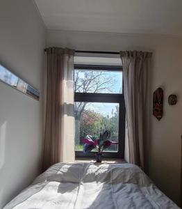 sypialnia z łóżkiem i oknem z rośliną w obiekcie Studio tussen de bossen en de bollenvelden w mieście Noordwijkerhout