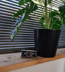 Gallery image of Have a nice stay! - Studio tussen de bossen en de bollenvelden in Noordwijkerhout +5 photos