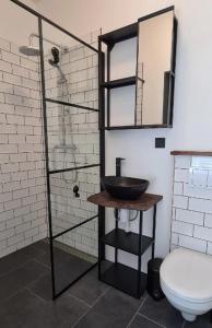 een badkamer met een wastafel, een spiegel en een toilet bij Studio tussen de bossen en de bollenvelden in Noordwijkerhout