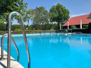 Swimming pool sa o malapit sa Cosy Tiny Lodges - vakantiepark Kempenbos