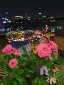 Blick auf die Stadt in der Nacht mit rosa Rosen in der Unterkunft ÜSKÜDAR OTEL in Istanbul