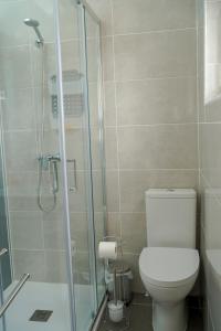 La salle de bains est pourvue de toilettes et d'une douche en verre. dans l'établissement Casa Origens, à Seia