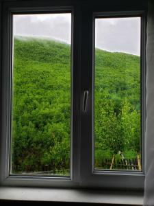 Paesaggio naturale nelle vicinanze dell'affittacamere