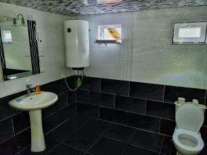 un bagno con un water bianco e un lavandino di Guest house Data a Ushguli