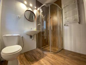 a bathroom with a shower and a toilet and a sink at Jantarowy Sen in Jantar