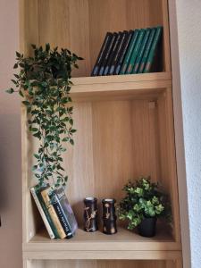 Knihovna v apartmánu