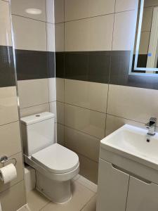 a bathroom with a toilet and a sink at Lovely 1-bedroom holiday home in Southminster in Southminster