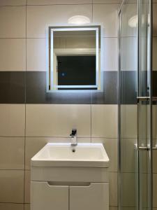 a bathroom with a white sink and a mirror at Lovely holiday home in Southminster in Southminster +8 photos