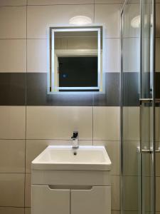 a bathroom with a white sink and a mirror at Lovely 1-bedroom holiday home in Southminster in Southminster