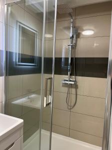 y baño con ducha y puerta de cristal. en Lovely 1-bedroom holiday home in Southminster, en Southminster