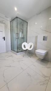 Łazienka w obiekcie Apartamenty 8 i 10 osobowe Koniakówka Resort