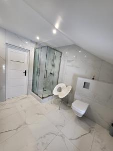 Łazienka w obiekcie Apartamenty 8 i 10 osobowe Koniakówka Resort