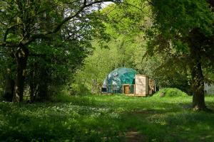a green dome tent in the middle of a field at Finest Retreats - Hever Luxury Dome 