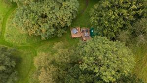 Vue de tête d'une maison au milieu des arbres dans l'établissement Finest Retreats - Chartwell Luxury Dome, 
