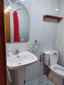 bagno con lavandino, servizi igienici e specchio di Apartamentos Trevias a Trevías